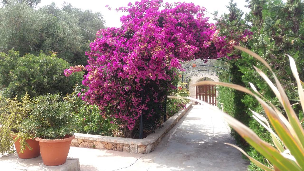 Apartamentos Villa Primera Cala Figuera  Eksteriør bilde